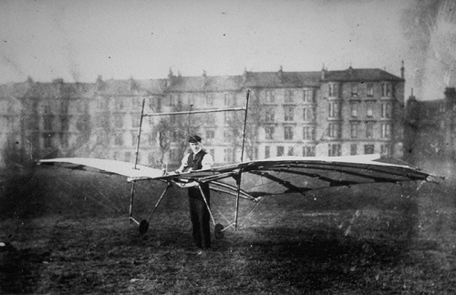 hawk-kelvingrove-park-1896pixels500.jpg