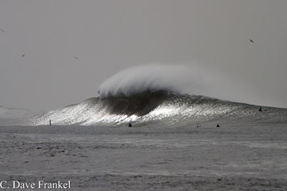 LJ Cove Water Shot.jpg