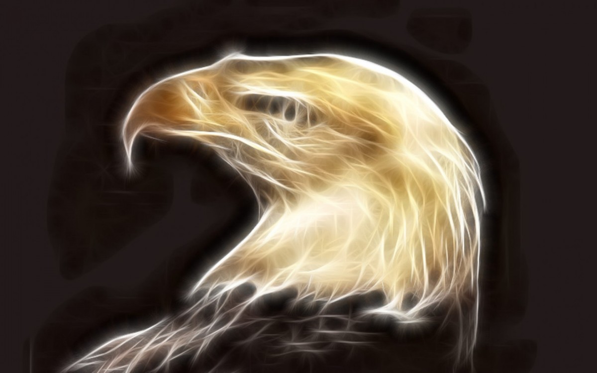 EagleSpirit.jpg