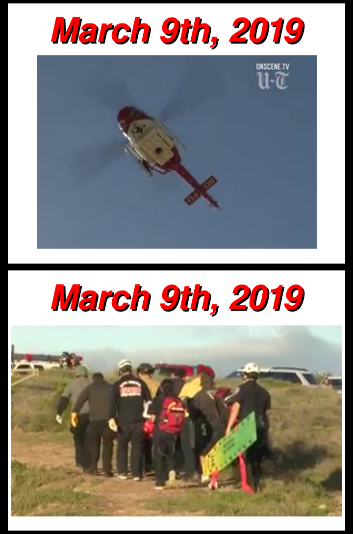 TPGP09.png