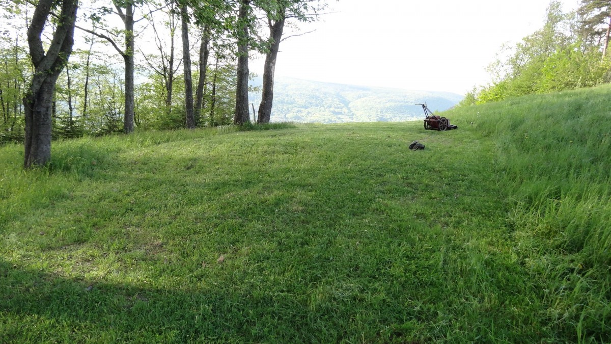 Mowing Set Up Area 5-24-19.jpg (655.21 KiB) Viewed 17612 times Mowing Set Up Area 5-24-19.jpg