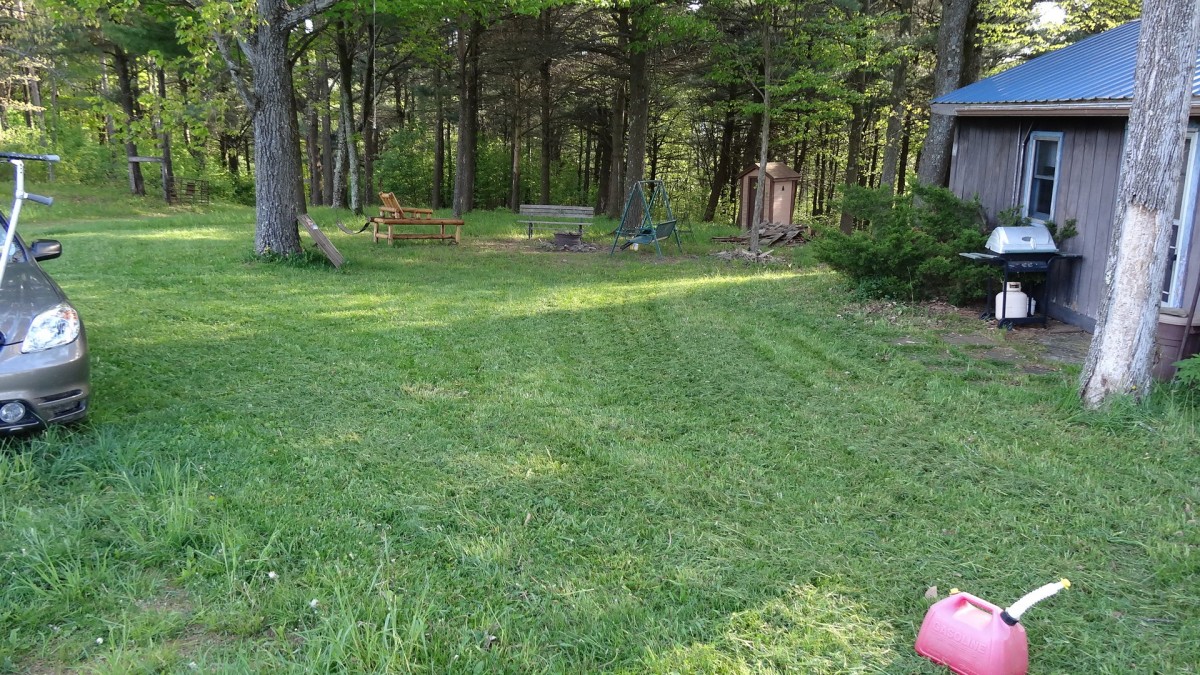 Front Yard of Cabin Mowed 5-24-19.jpg (799.38 KiB) Viewed 17612 times Front Yard of Cabin Mowed 5-24-19.jpg