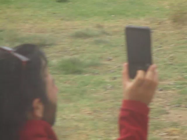 p003.png
