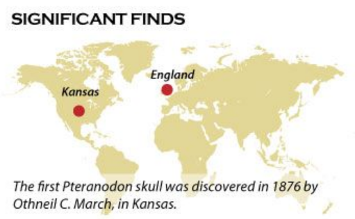Pteranodons_in_Kansas.png