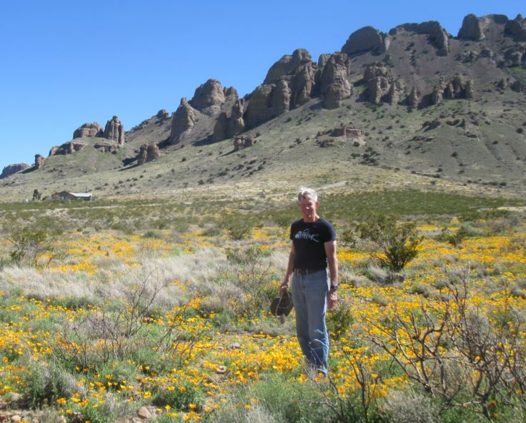 Robin&Poppies_03-24-20.JPG