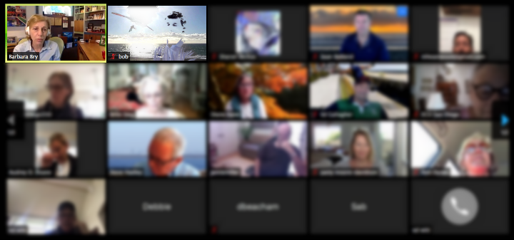 Bry_Bob_Zoom_20200516.png