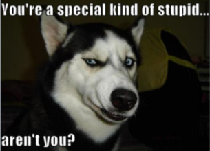 special kind of stupid.png