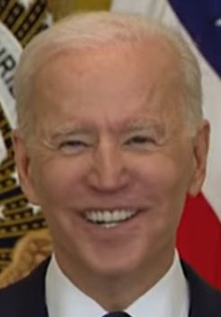 fake smile.png