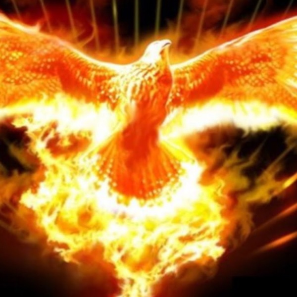 Phoenix_Rising.jpg
