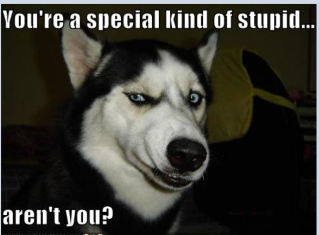 A special kind of stupid.png