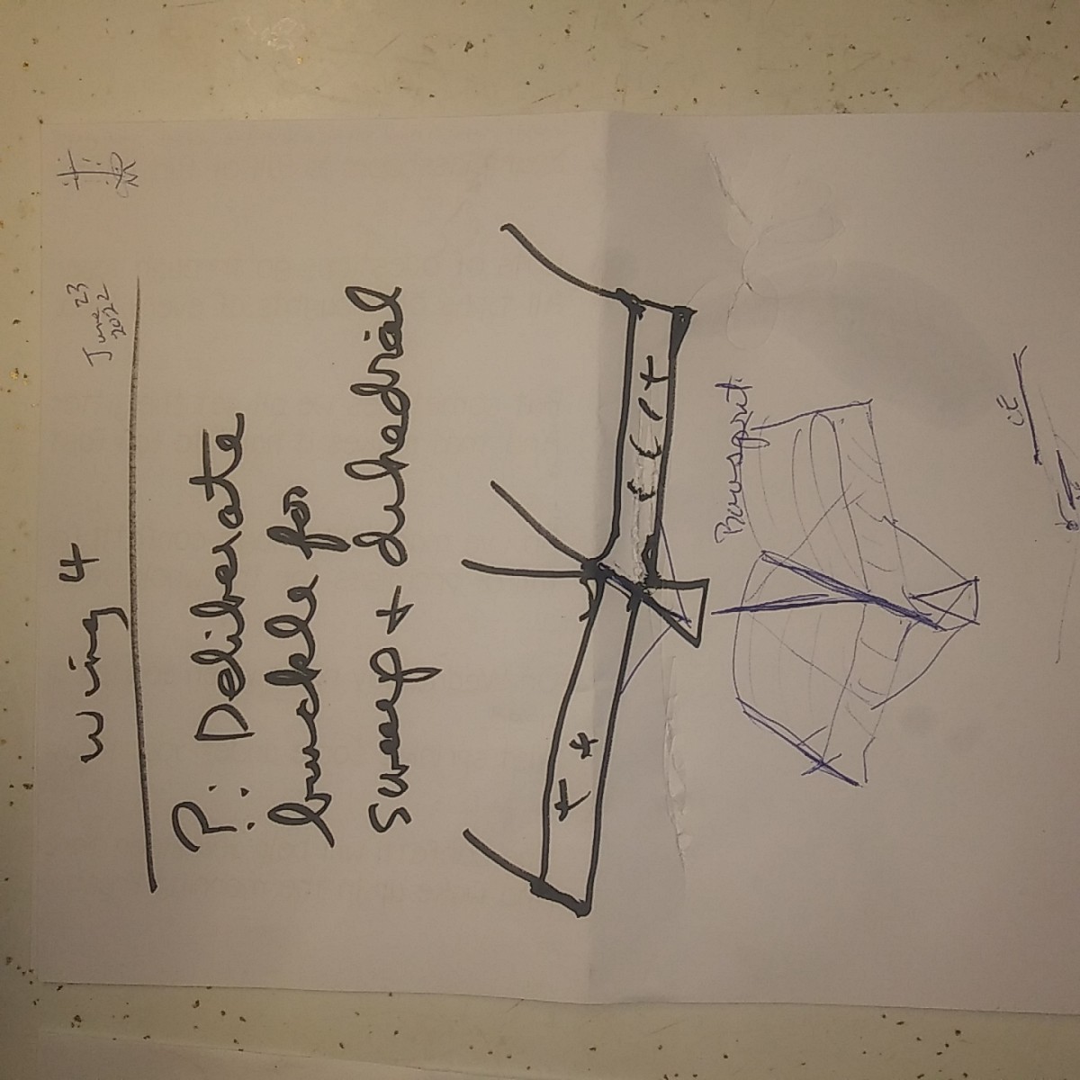 DeliberateBuckleForSweepAndDihedral.jpg