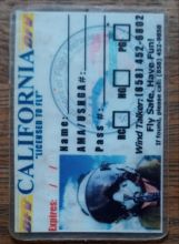 Pilot ID.jpg