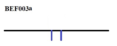 BEF003a.jpg