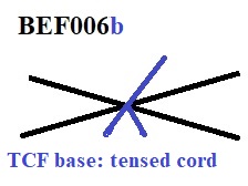BEF006b.jpg