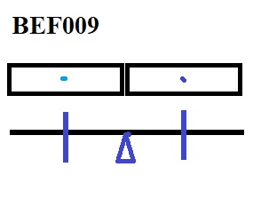 BEF009.jpg