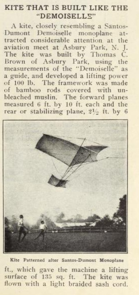1910PopMechKiteMimicDemoiselle.jpg