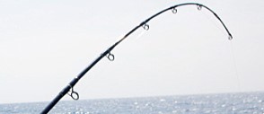 taperedfishingrods.jpg