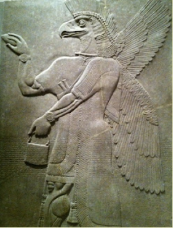 Flight controls.png