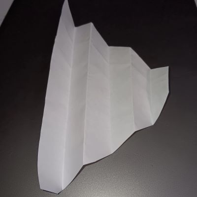 AccordionWingSail.jpg