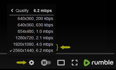 RumbleQualitySetting.jpg