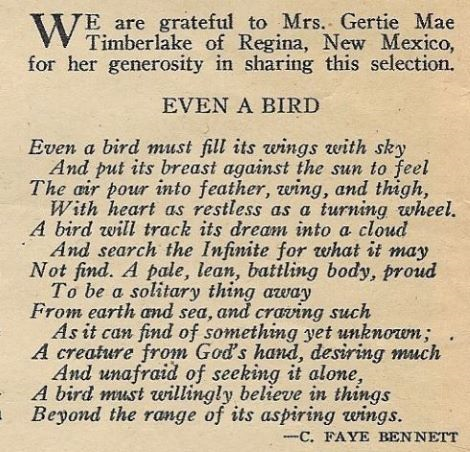 EVEN A BIRD.png