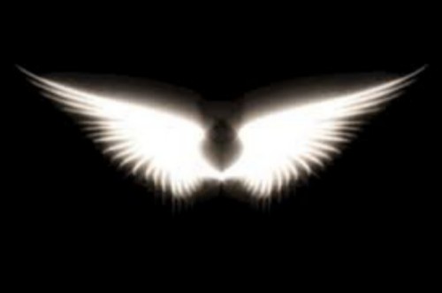 Wings_of_Light_500.jpg