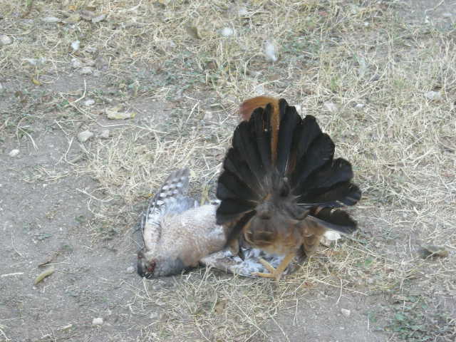 DSCN2141.JPG