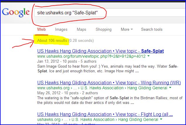 GoogleSearchUSHawksSafeSplat.jpg