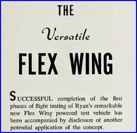TheVersatileFlexWingARTICLEstart.JPG