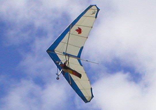 P2130060s.JPG
