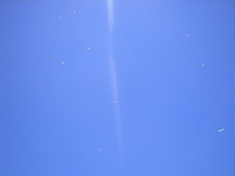 P7250101s.JPG