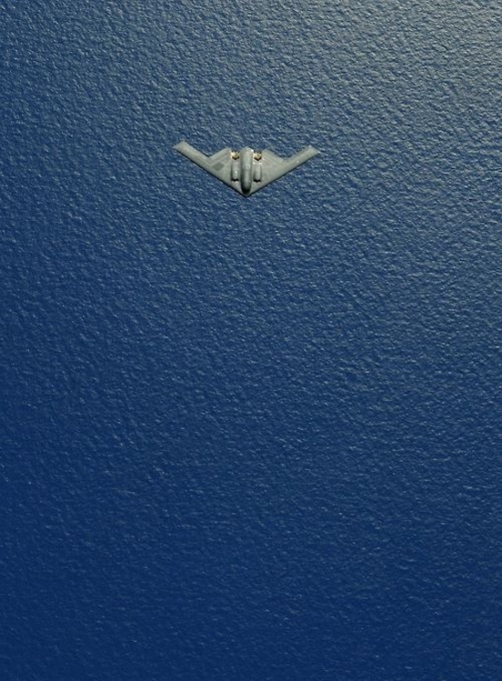 StingRay.jpg