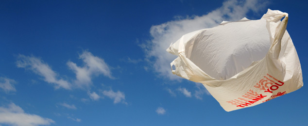 Bag Float.jpg