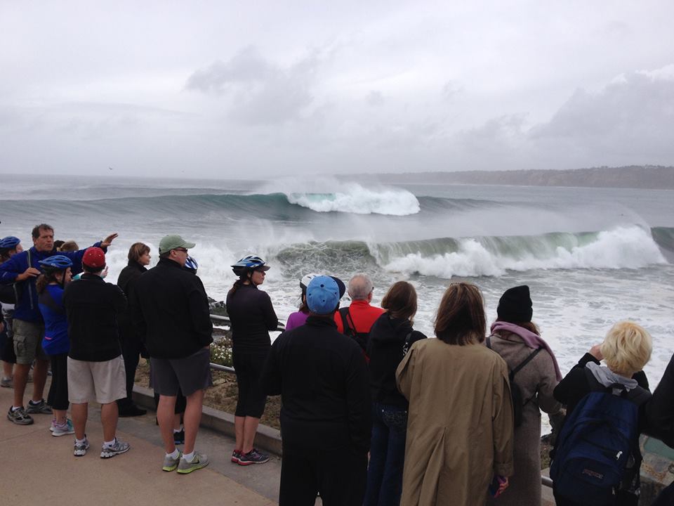LJ Cove Beach Bluff Walk.jpg