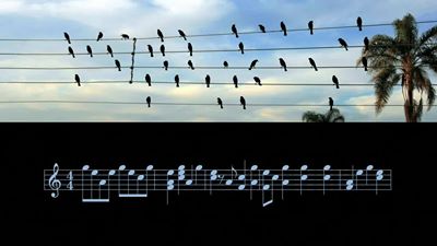 Bird Song.jpg