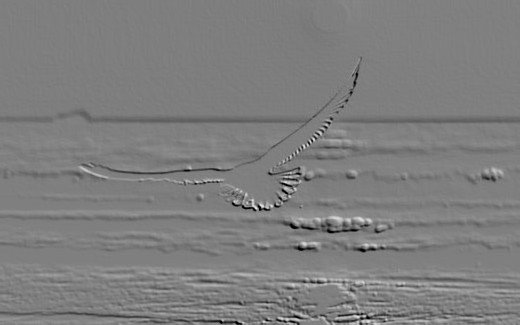 Overcast Feather.jpg