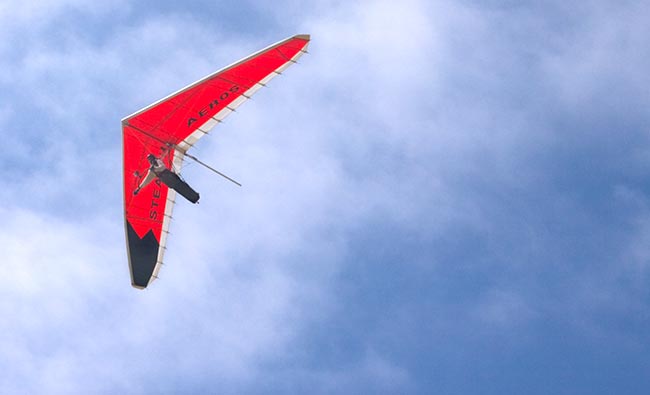 Stealth Glider.jpg