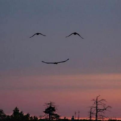 Smile.jpg