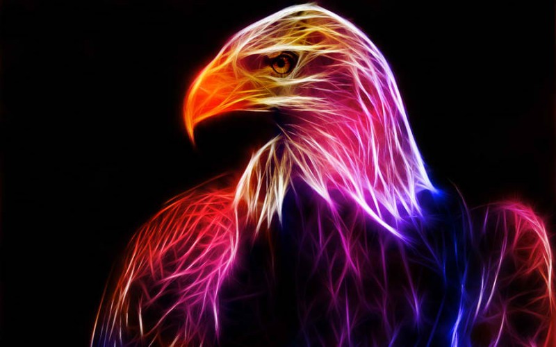 EaglesGlow.jpg