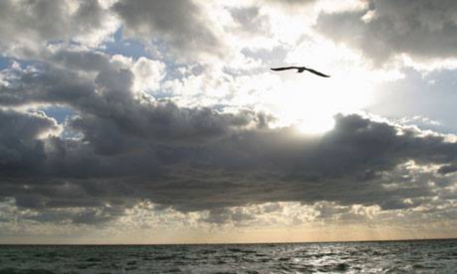 Storm Flight.jpg
