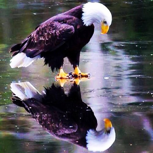 Reflecting.jpg