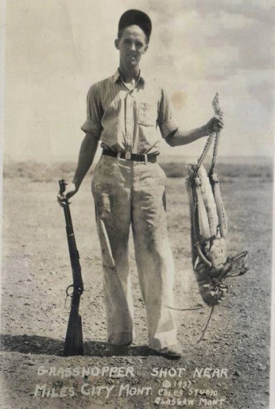 Grasshopper 1937 Miles City.jpg
