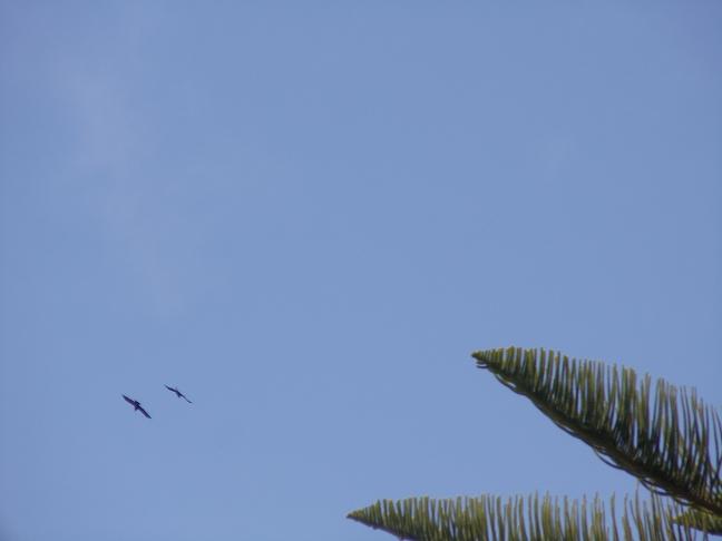 DSC00582.JPG