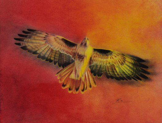 Sunrise Hawk.jpg