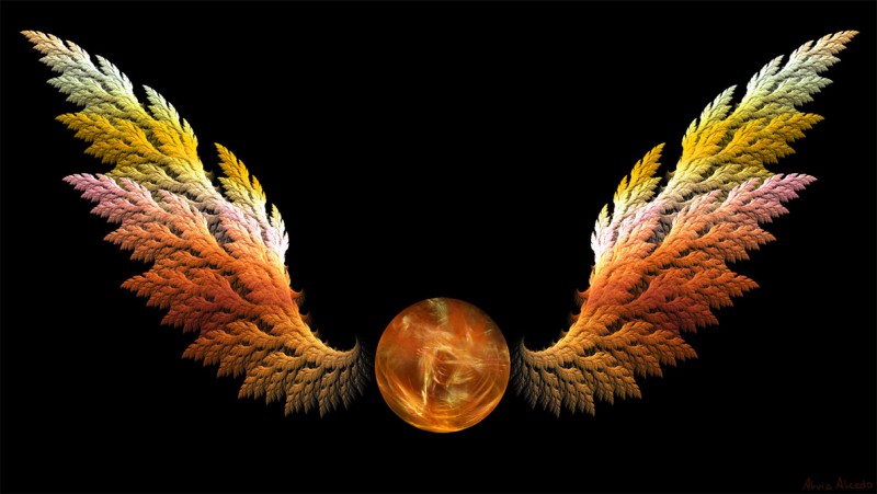Snitch Wings.jpg