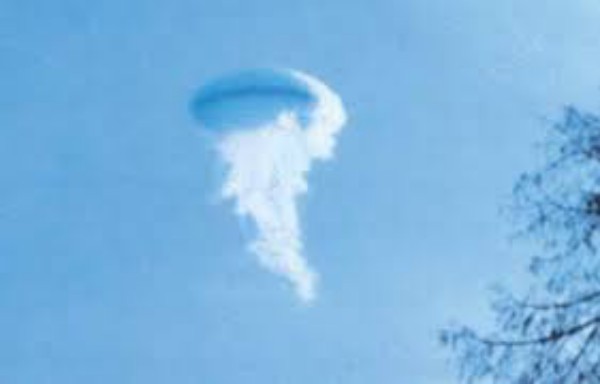 Flying Jello's.jpg