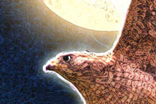 Red Hawk.jpg
