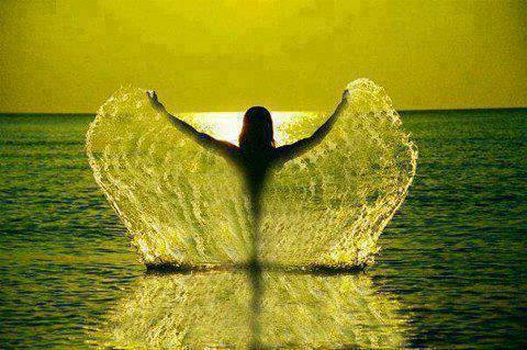 Water Wings.jpg
