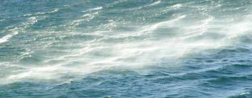 Ocean Wind Line.jpg