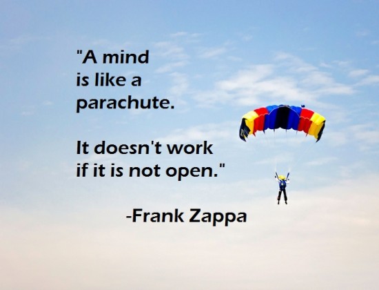 frank-zappa-quote.jpg